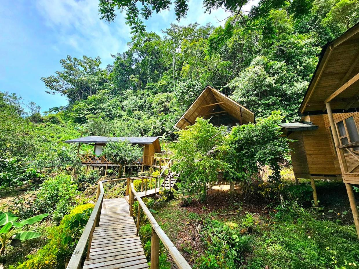 Hotel Piedra Piedra Lodge Nuquí Eksteriør billede